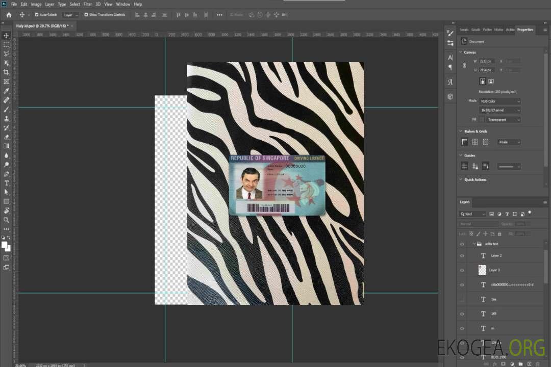 Photolook du permis de conduire de Singapour AVANT template Photolook du permis de conduire de Singapour AVANT template